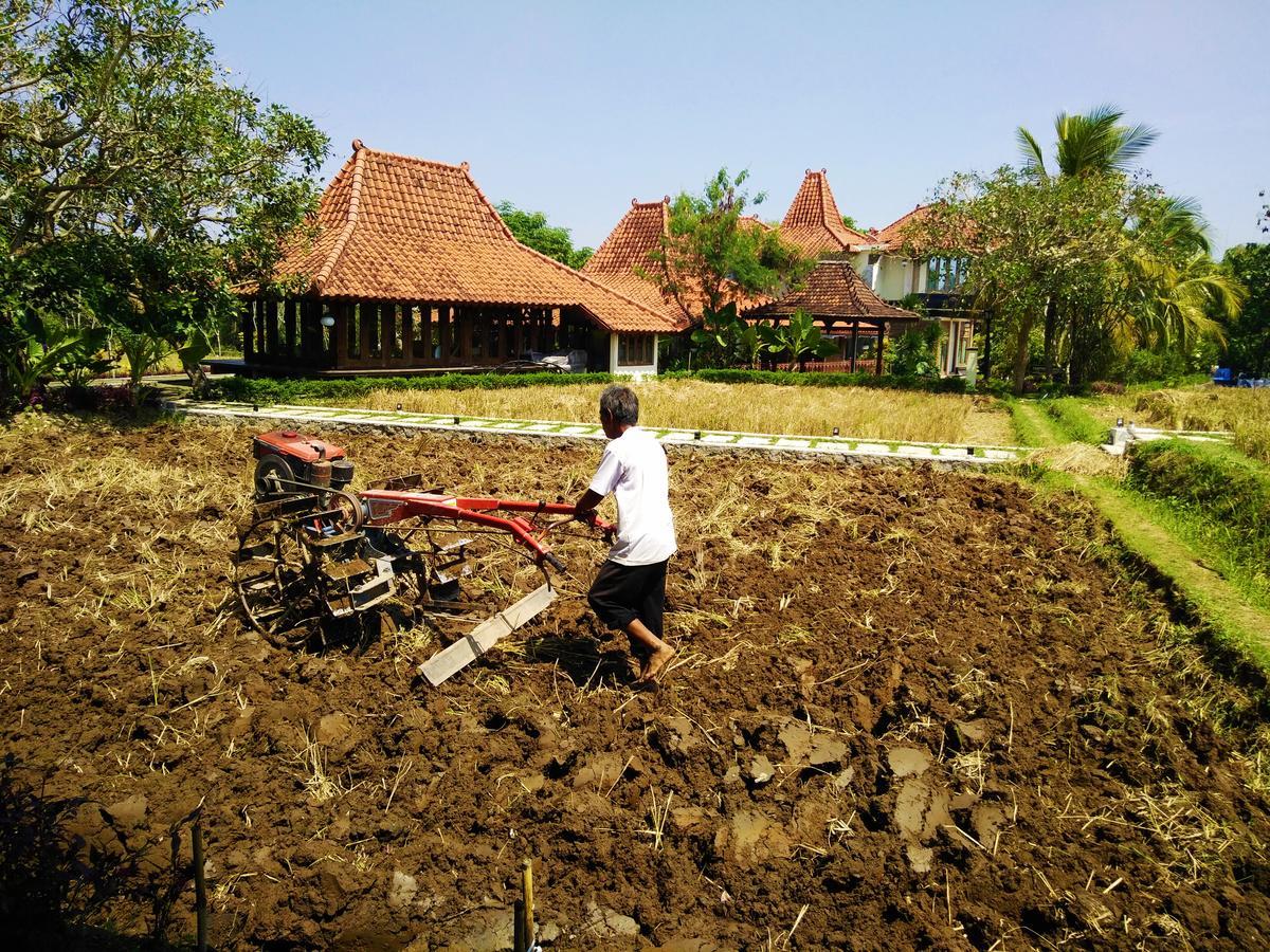 Java Village Resort Sleman  Esterno foto
