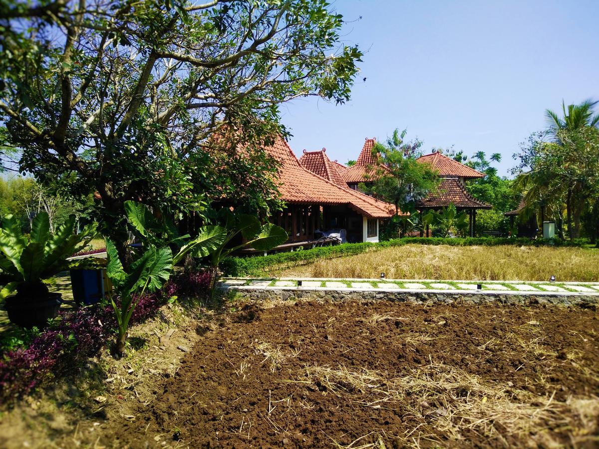 Java Village Resort Sleman  Esterno foto